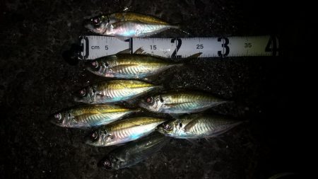 久し振りの早仕舞い