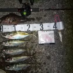 場所開拓のはずが？