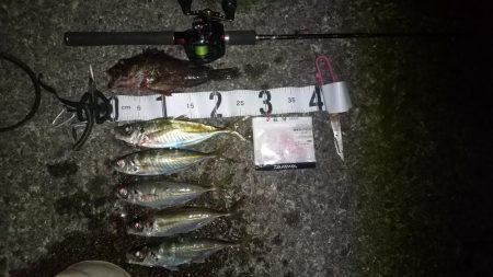 場所開拓のはずが？