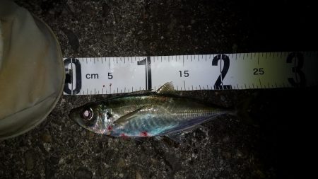 厳しくなって来たのかな〜?