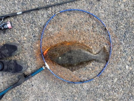 4年ぶりにネットイン