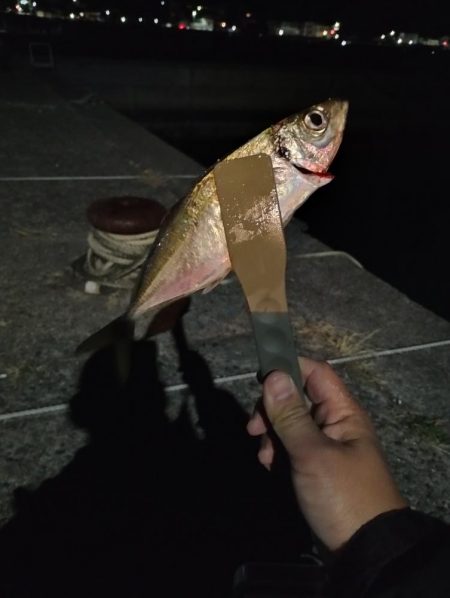 釣れる時に釣る