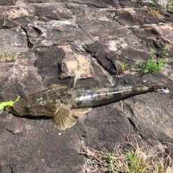 大潮ど干潮釣行