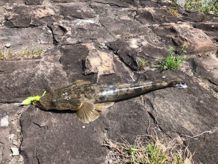 大潮ど干潮釣行