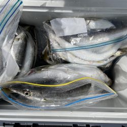 久しぶりの釣行