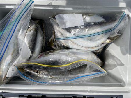 久しぶりの釣行