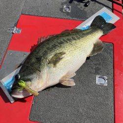 北山田ロクマル5キロオーバー!