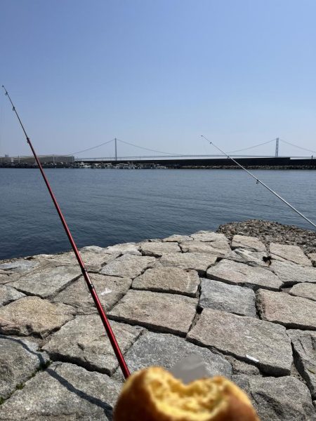 花見カレイ不発