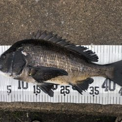 イチノ兄弟、釣果！