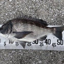 イチノ兄弟、釣果！