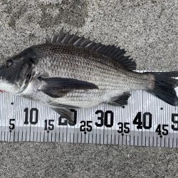 イチノ兄弟、釣果!