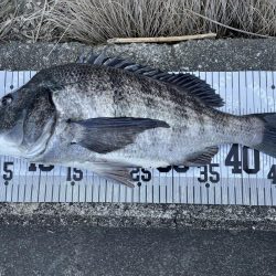 イチノ兄弟、釣果！