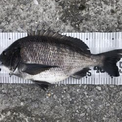 イチノ兄弟、釣果!