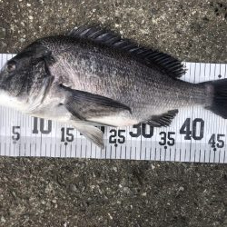 イチノ兄弟、釣果！