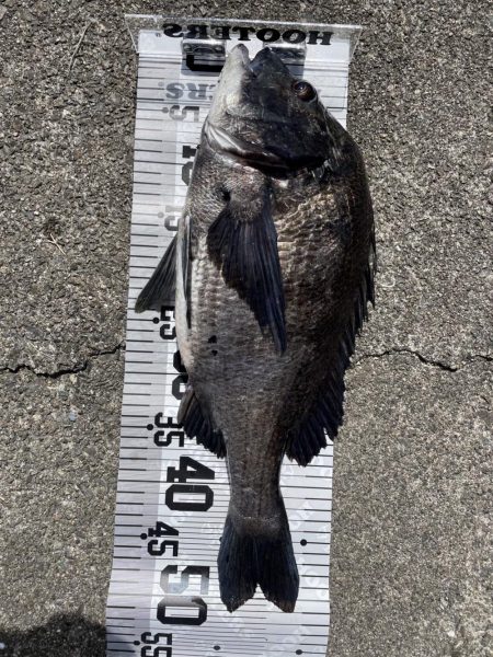 イチノ兄弟、釣果！