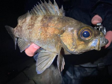 フロートメバリング!