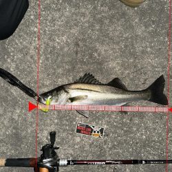 はじめてちゃんとバチ抜けパターンやれた！