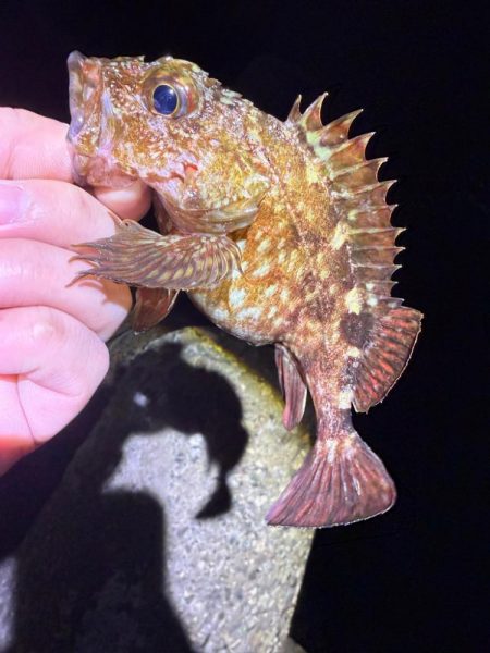 寒い！寒すぎる！