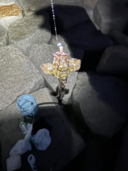 ガシラばっかり