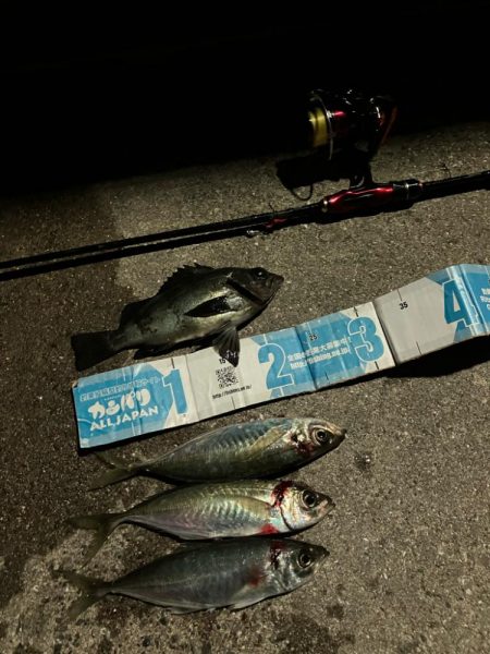 アジング&メバリング