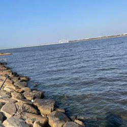 淀川ブリームゲーム