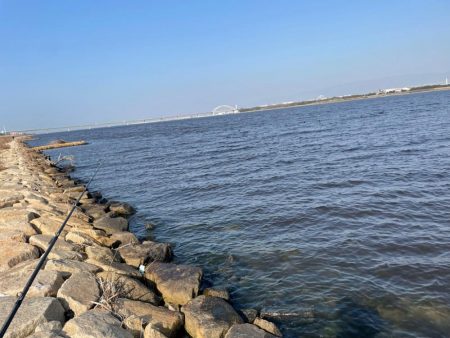 淀川ブリームゲーム