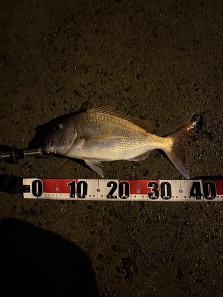 ひさびさの夜釣り