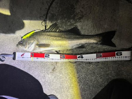 爆風の中の一本