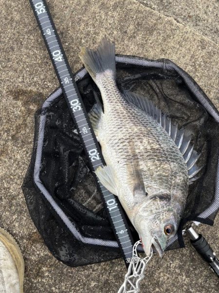 ヘチってきました