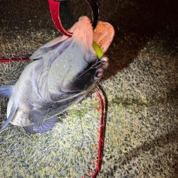 寒すぎました…