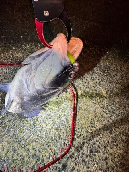 寒すぎました…