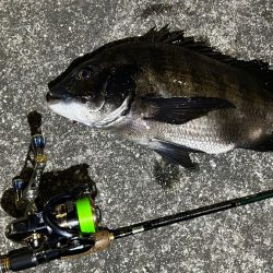 久しぶりの釣果