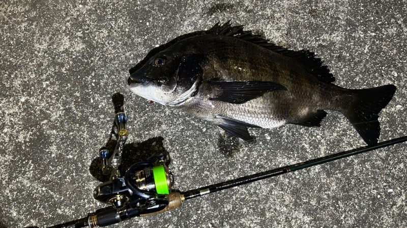 久しぶりの釣果