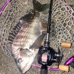 仕事帰り15分チニング！