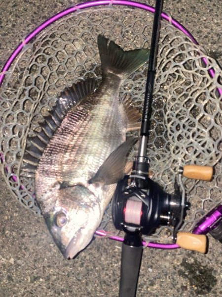 仕事帰り15分チニング！