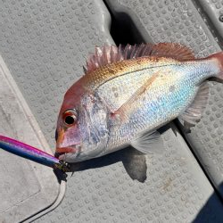 レンコ鯛/ブレードジギング