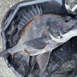 ヘチってきました