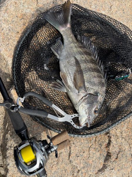 トレイシーチニング