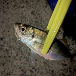 フロートアジング