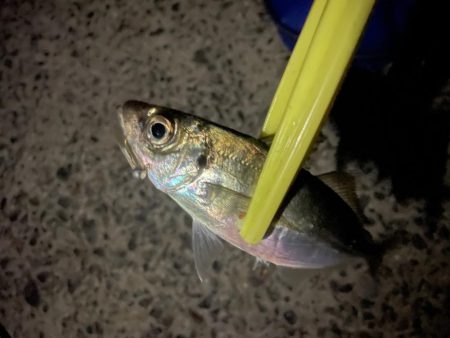 フロートアジング