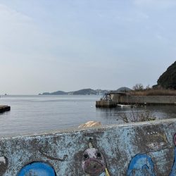 メバリング&ロックフィッシュの旅