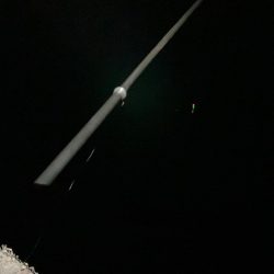 東二見メバル15