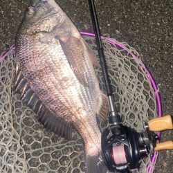 今日も仕事帰りチニング！