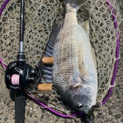 快適チニング！