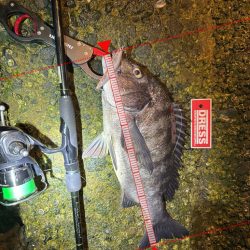 先行者さんのおかげです!!