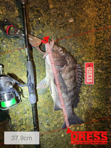 先行者さんのおかげです!!