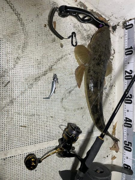 ボートシーバス