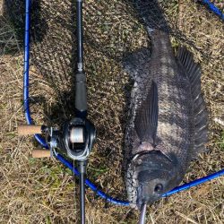 ポイント選び失敗