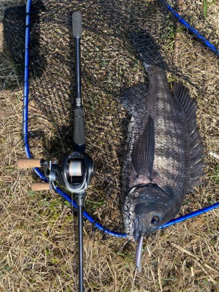 ポイント選び失敗