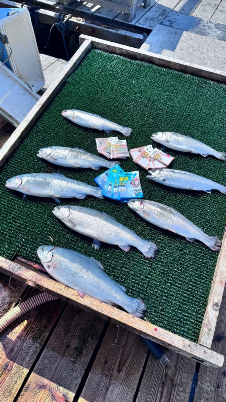 サーモン/脈釣り